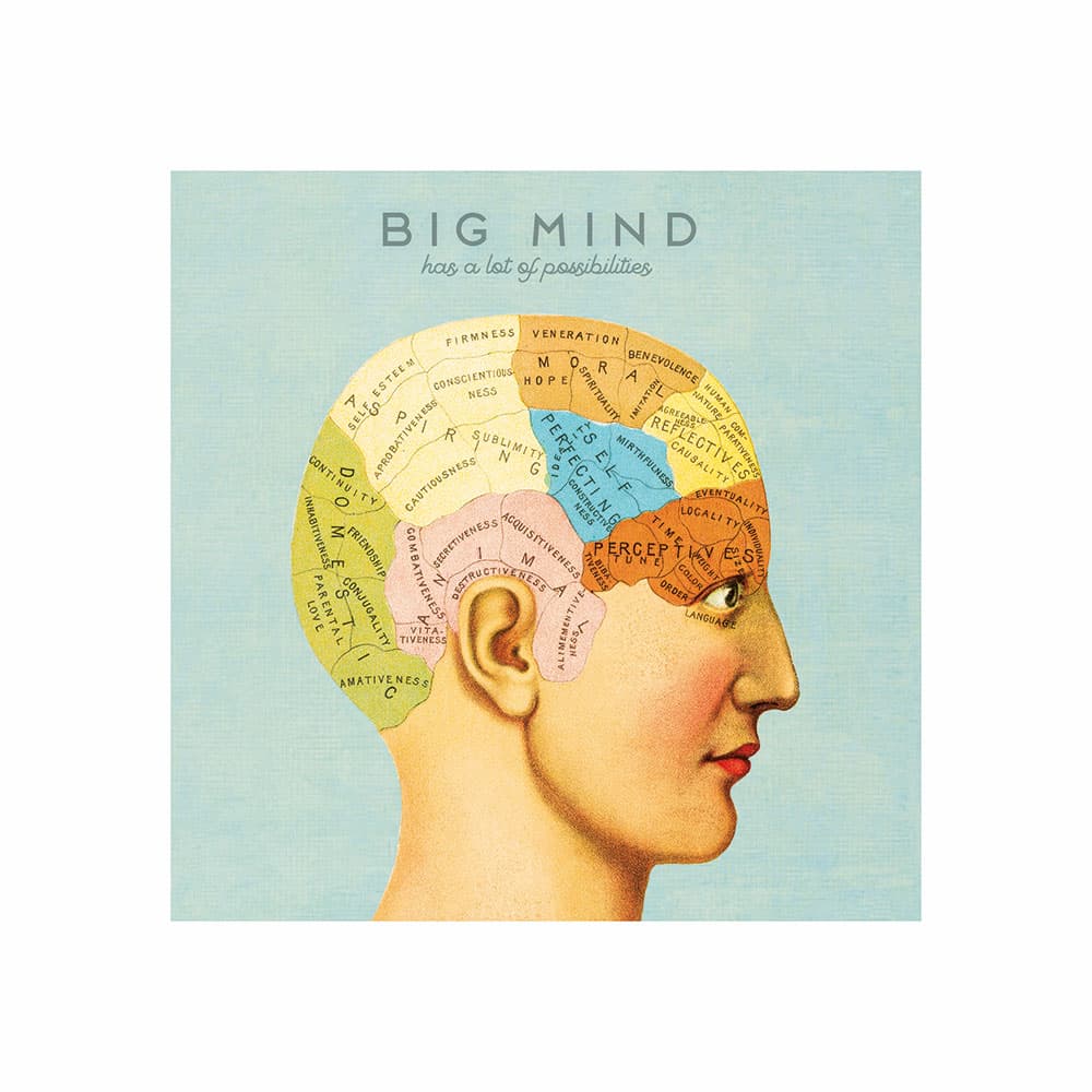 Tablou panza - Big mind | Chic mic
