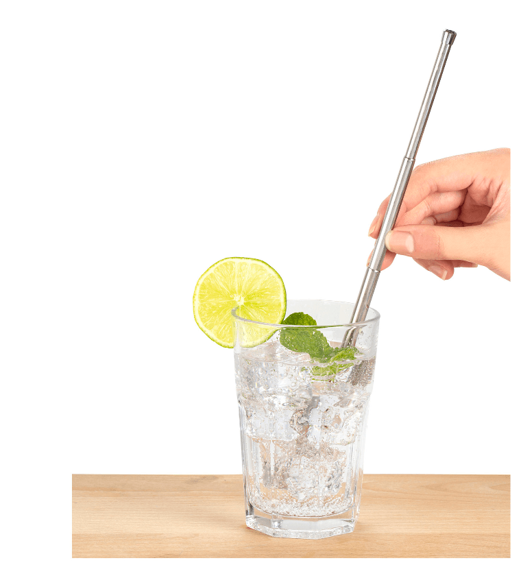 Set cu pai si perie - Travel Straw | Kikkerland