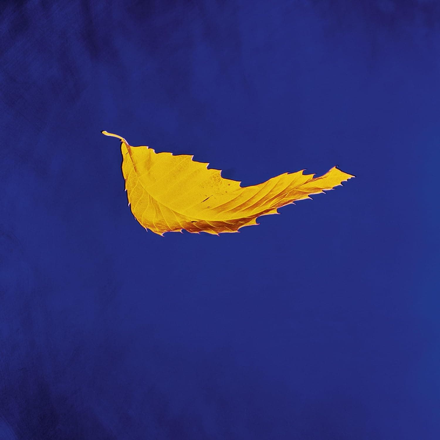 True Faith / 1963 (Vinyl 12", 45 RPM) | New Order