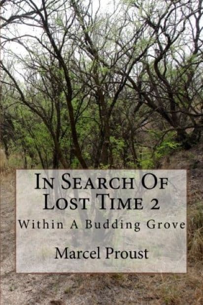 In Search Of Lost Time - within A Budding Grove | Marcel Proust