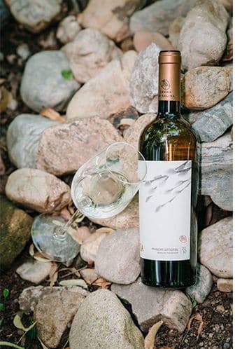 Vin alb - ISSA, Muscat Ottonel, 2017, sec | Crama La Salina