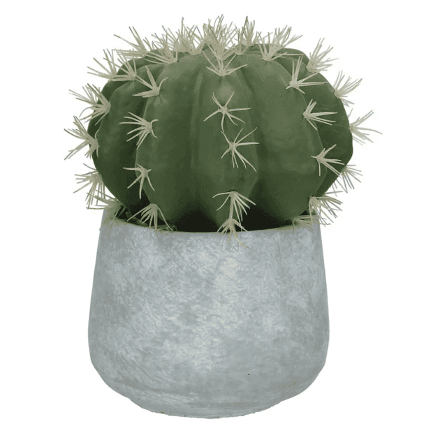 Cactus artificial  | Pomax