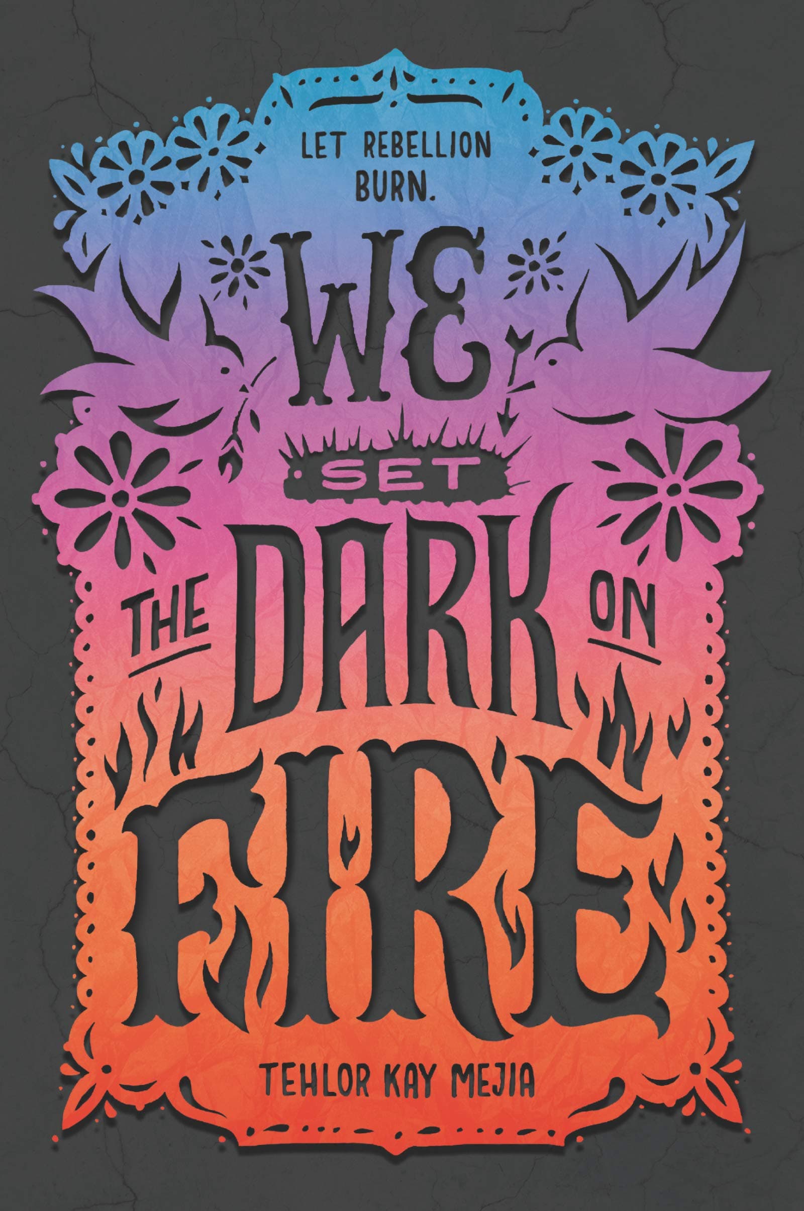 We Set the Dark on Fire | Tehlor Kay Mejia