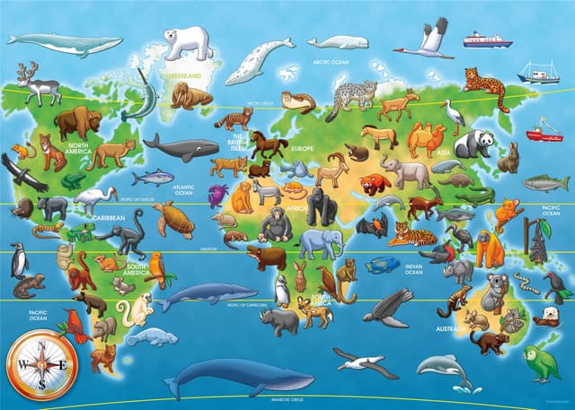 Puzzle mare 60 piese - Harta animale pe cale de disparitie | Ravensburger