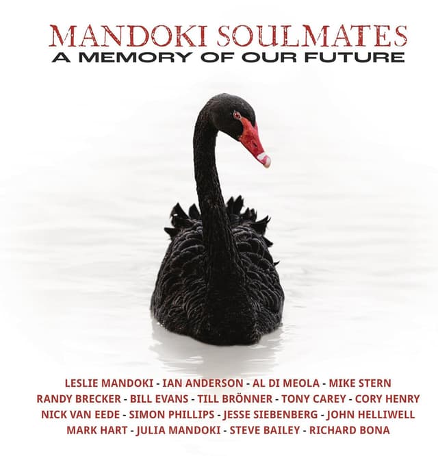 A Memory Of Our Future - Vinyl | Mandoki Soulmates