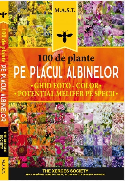 100 de plante pe placul albinelor |