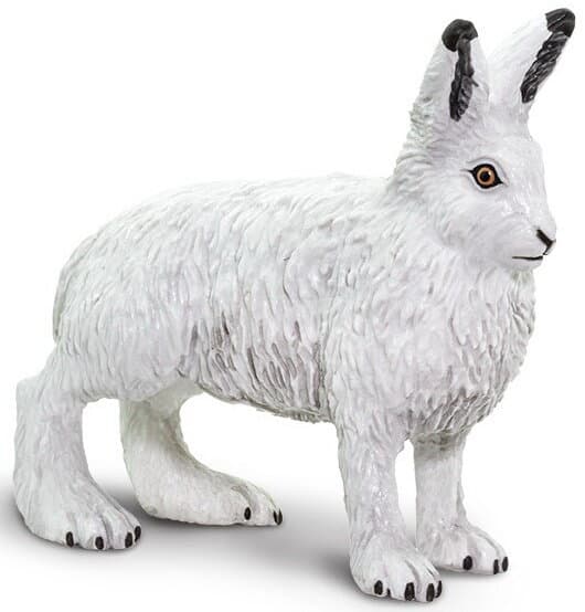Figurina - Iepure arctic | Safari
