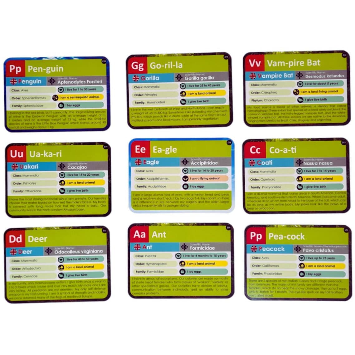 Joc - Learning Cube - Arca lui Noe | K-Toyz
