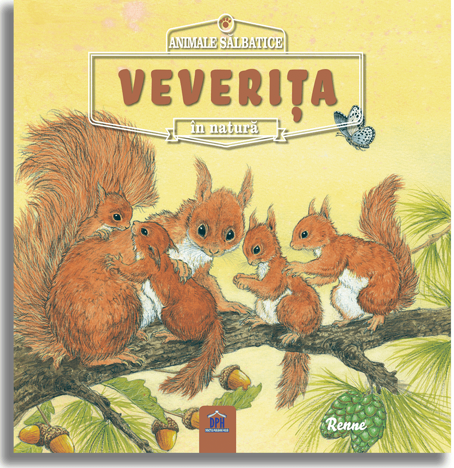 Veverita | Renne