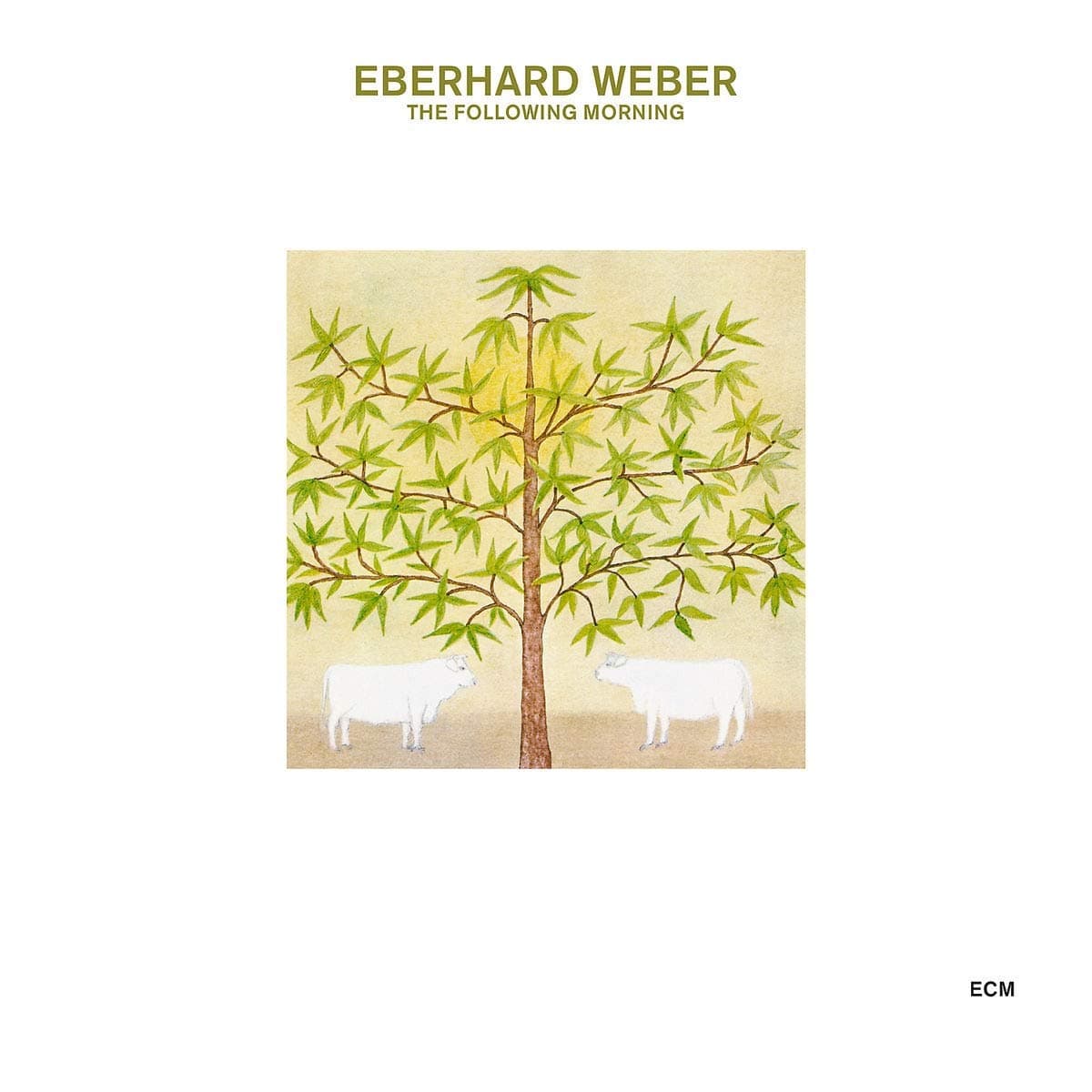 The Following Morning | Eberhard Weber