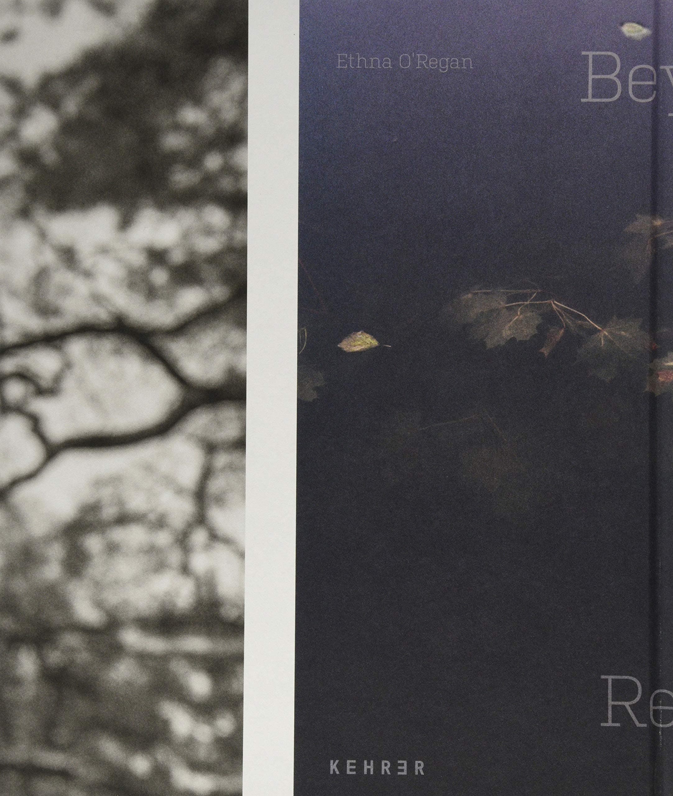 Beyond Reach | Ethna O'Regan, Ania Nalecka-Milach