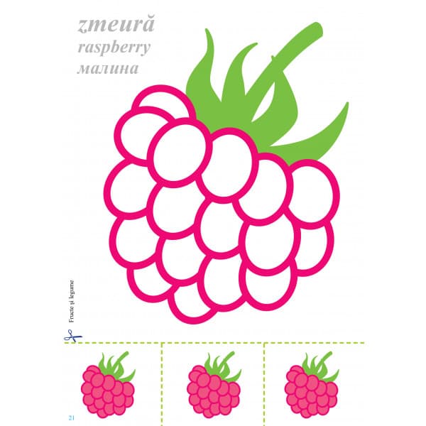 Mapa - Fructe si legume | Inesa Tautu