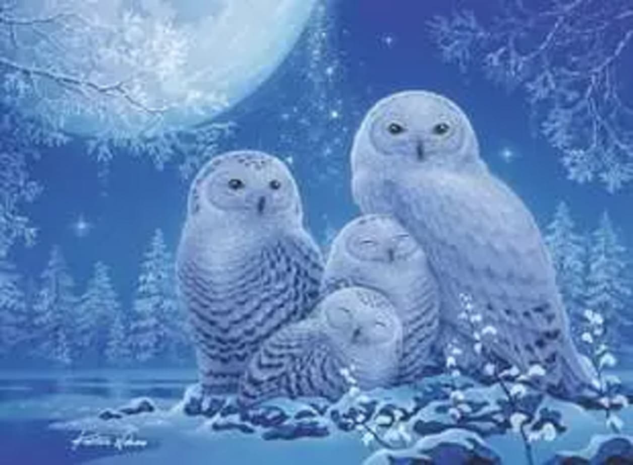 Puzzle 500 piese - Glow in the Dark - Owls in the moonlight | Ravensburger