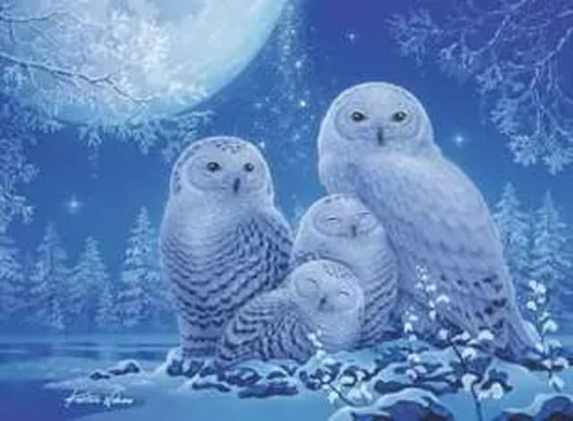 Puzzle 500 piese - Glow in the Dark - Owls in the moonlight | Ravensburger