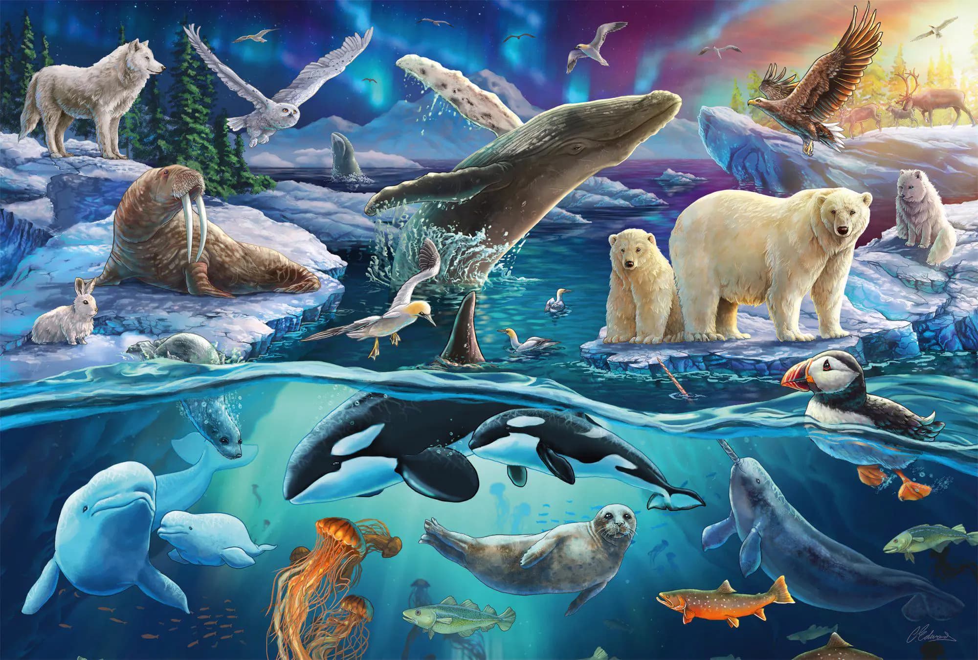 Puzzle 150 piese - Animale polare | Schmidt