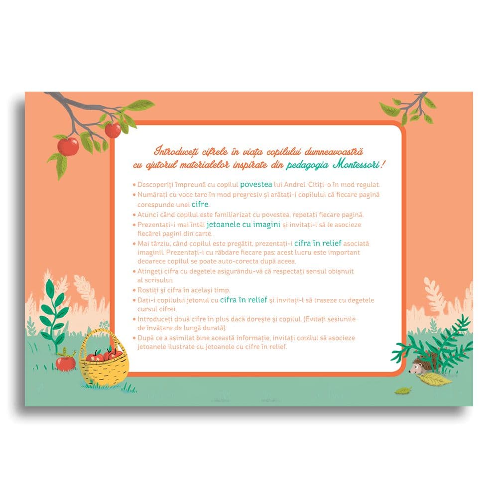Cutia mea cu cifre Montessori | Claire Frossard