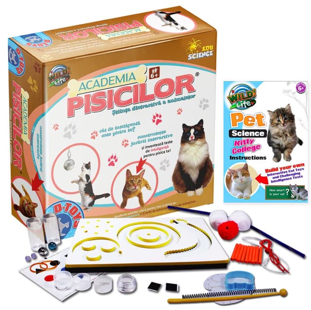 Joc educativ - Academia Pisicilor | D-Toys