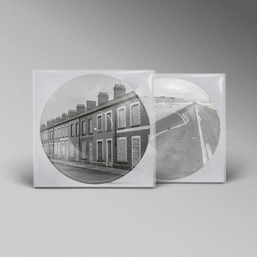 Critical Thinking (Picture Disc Vinyl) | Manic Street Preachers