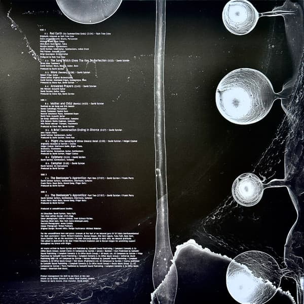Camphor II - White Vinyl | David Sylvian