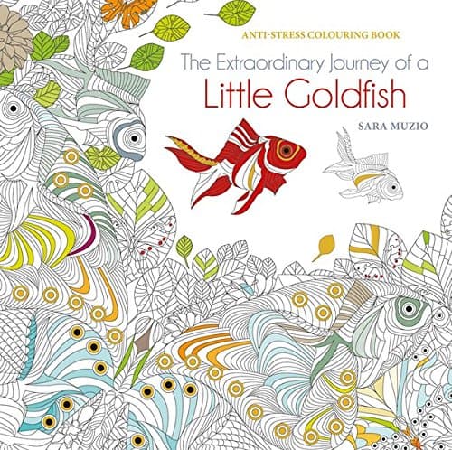 The Extraordinary Journey of a Red Fish  | Sara Muzio