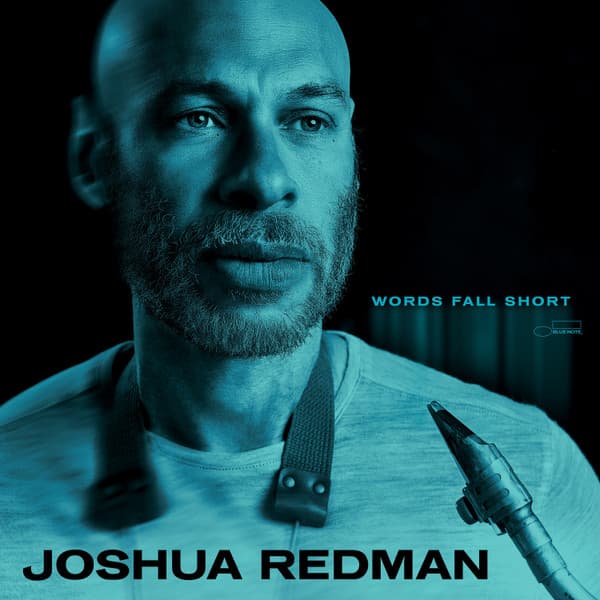 Words Fall Short | Joshua Redman