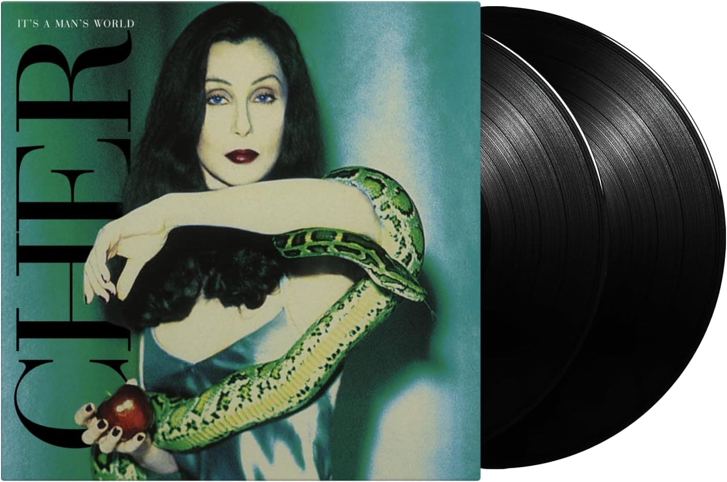 It's A Man's World - Vinyl | Cher