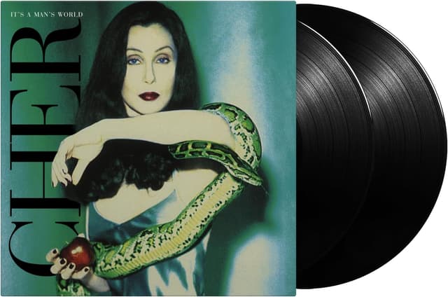 It's A Man's World - Vinyl | Cher