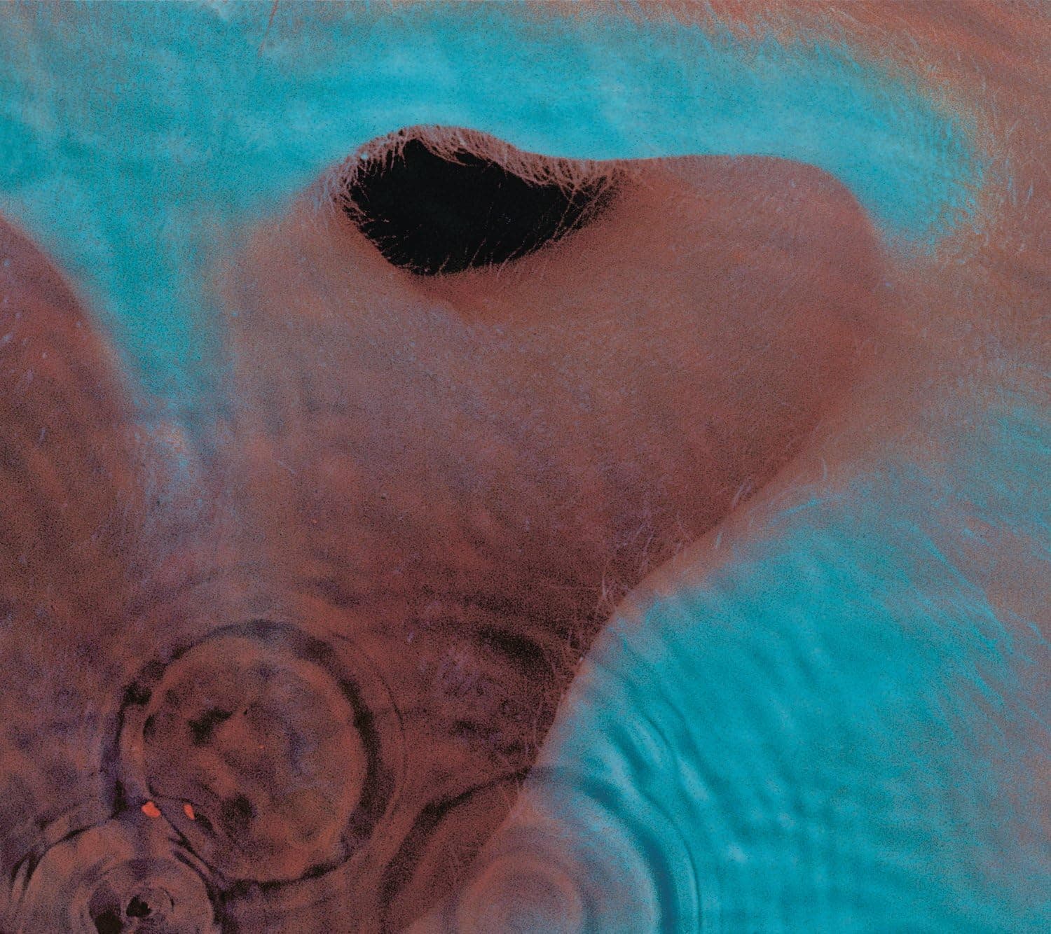 Meddle | Pink Floyd