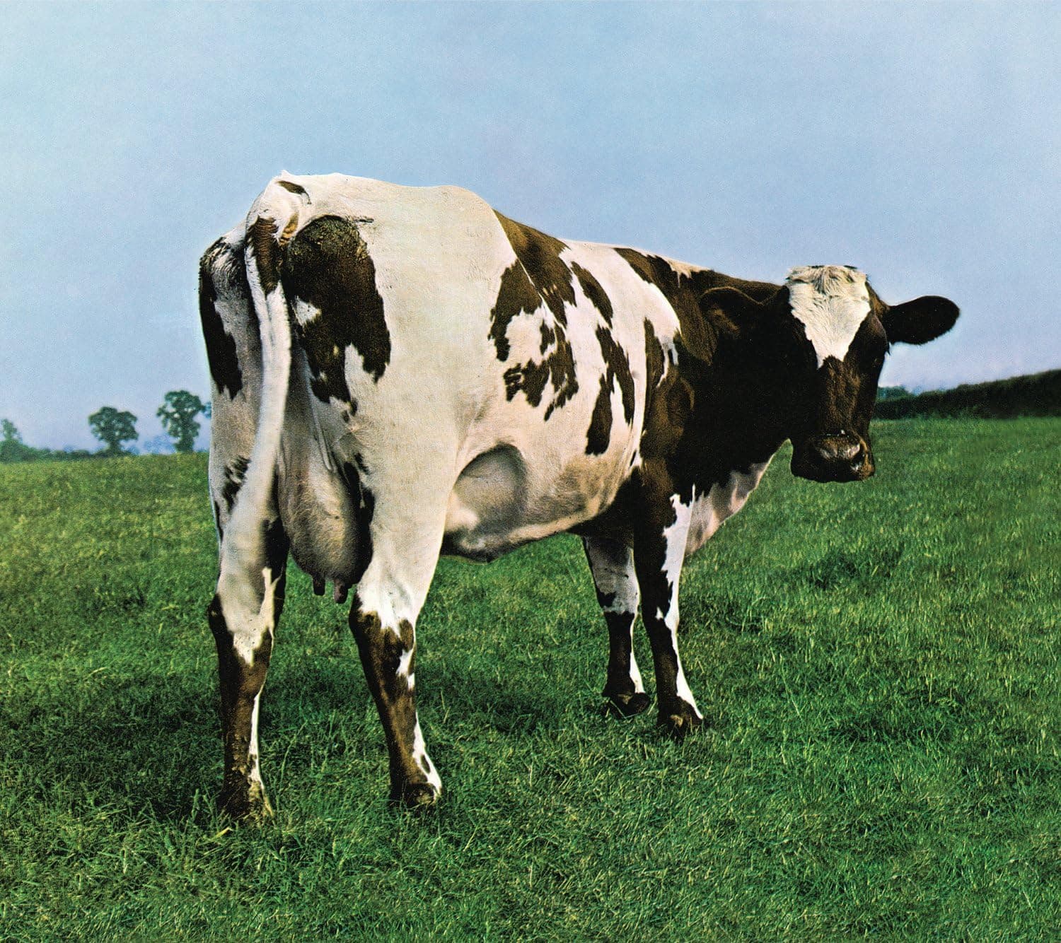 Atom Heart Mother | Pink Floyd
