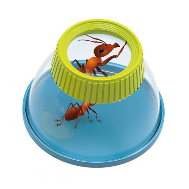 Jucarie educativa - Insectolupa (mai multe culori - pret pe bucata) | Buki