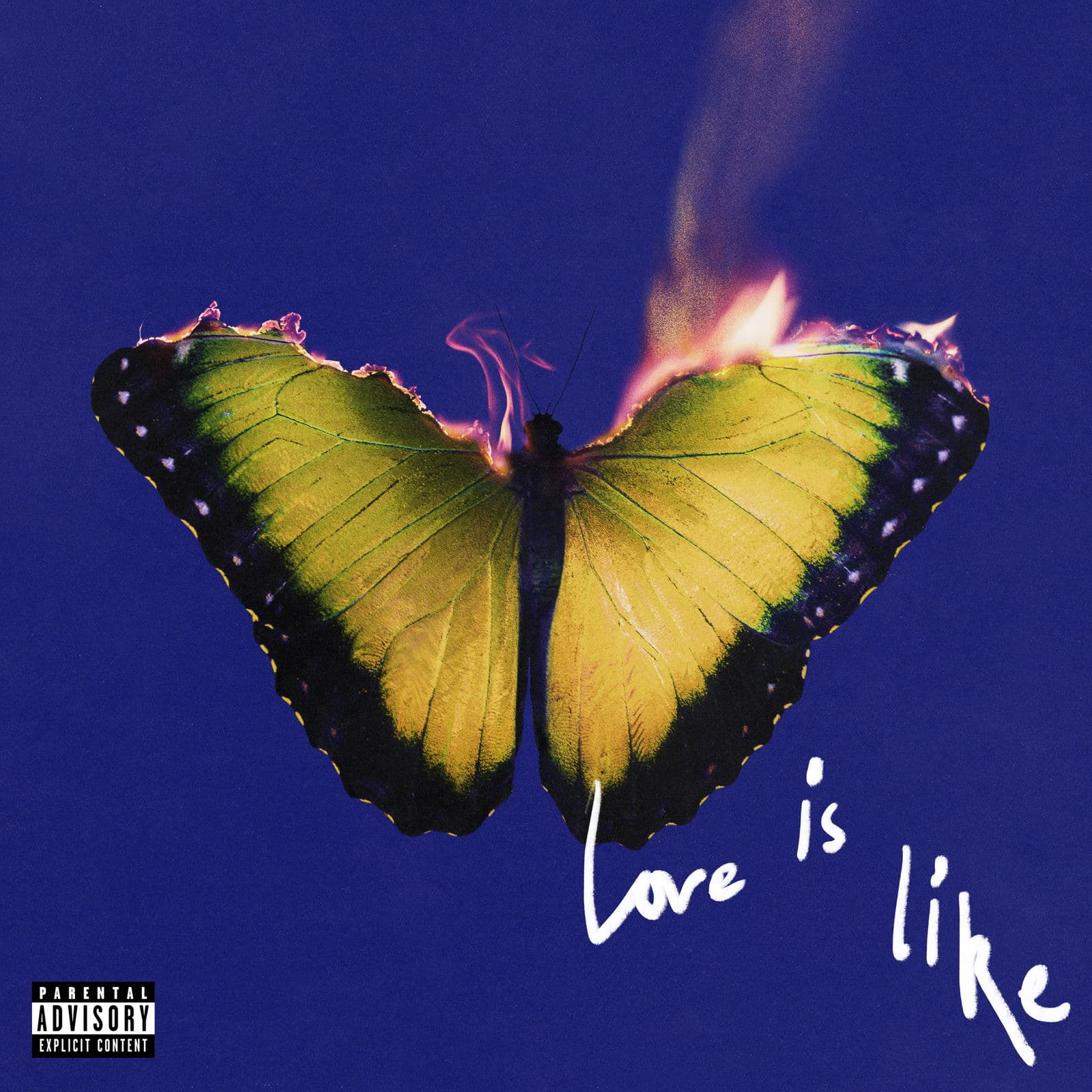 Love is Like - Indie Exclusive Vinyl | Maroon 5