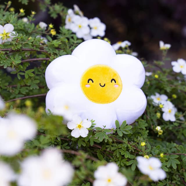Jucarie de plus - Daisy | Legami