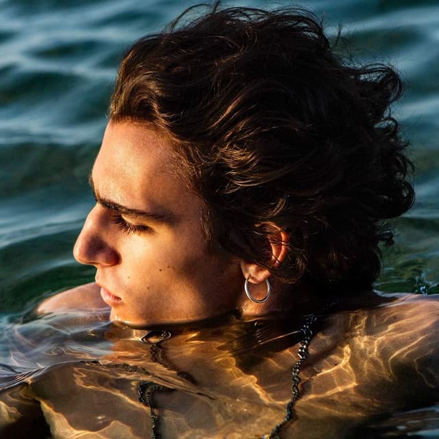 Amir - Vinyl | Tamino