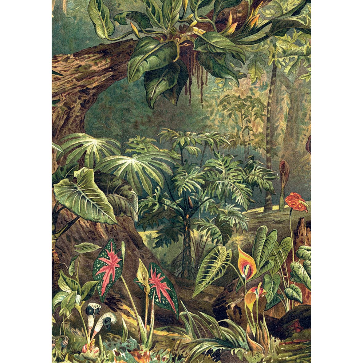 Puzzle 1000 de piese - The Dybdahl Co. - Jungle | Kiub