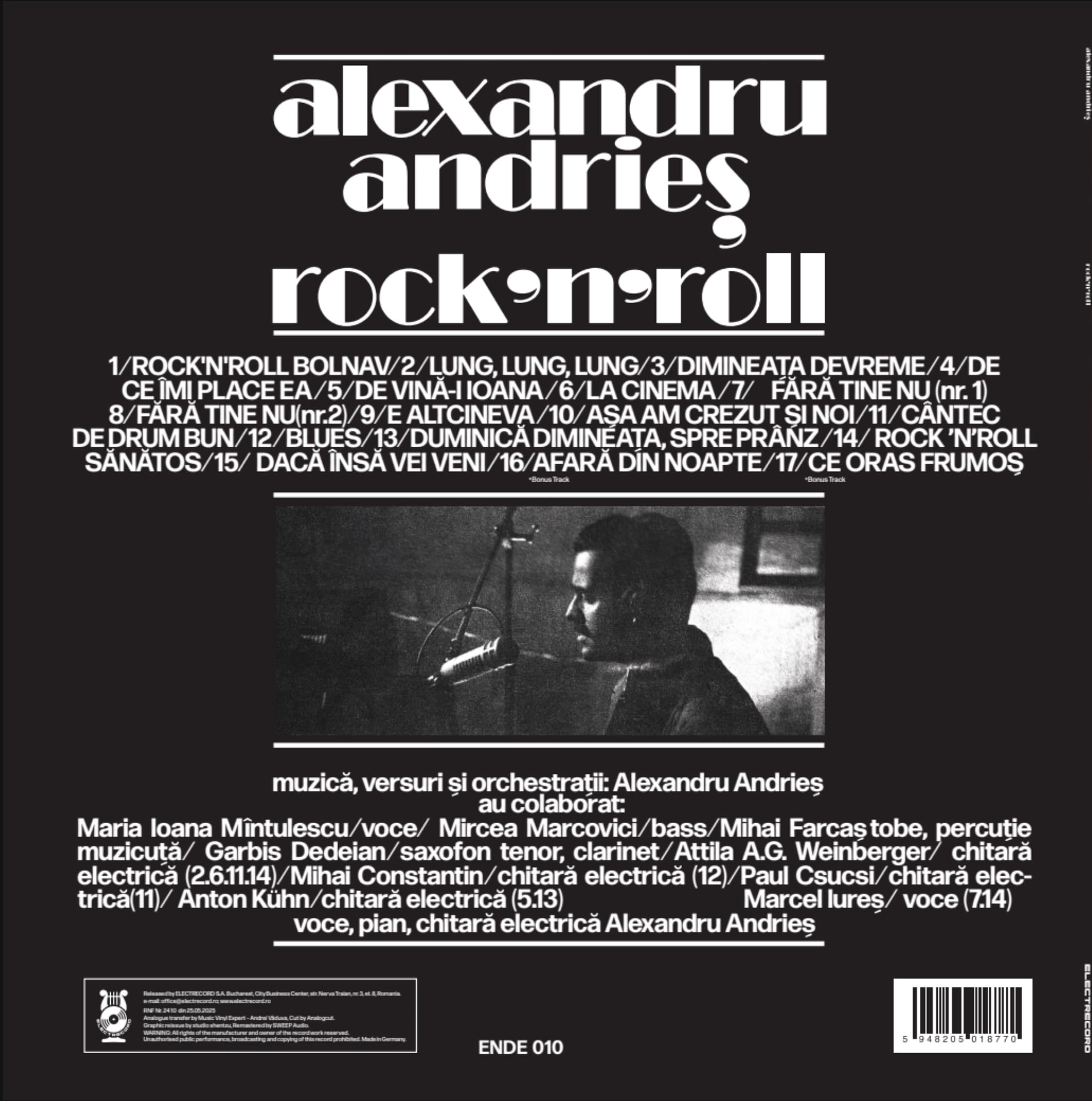 Rock'n'roll - Vinyl | Alexandru Andries
