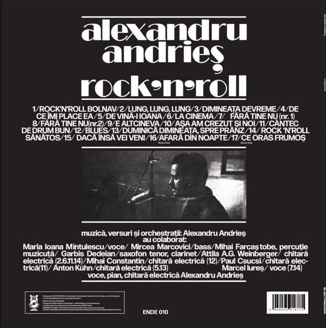 Rock'n'roll - Vinyl | Alexandru Andries