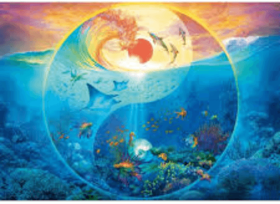 Puzzle 1000 piese - Yin & Yang - In lumea animalelor marine | Schmidt