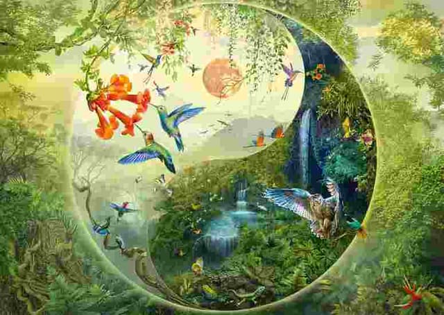 Puzzle 1000 piese - Yin & Yang - In padurea colibri | Schmidt