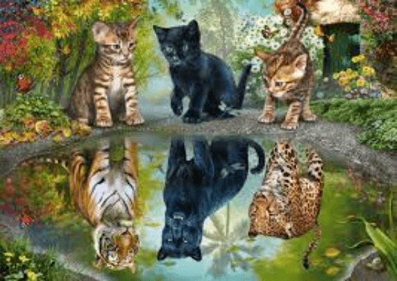 Puzzle 1000 piese - Dream Big | Schmidt
