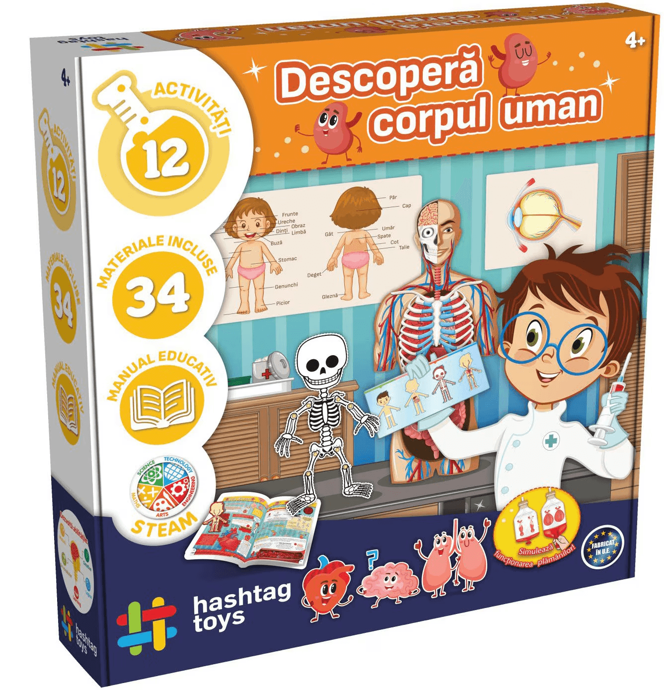Joc educativ - Descopera corpul uman | Hashtag Toys