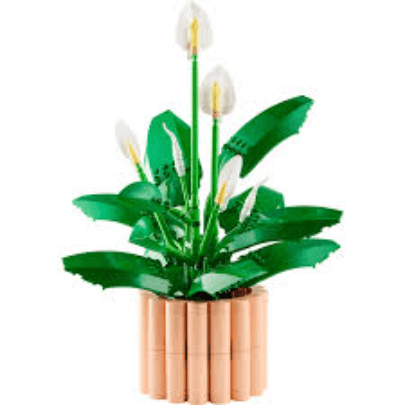 LEGO Botanicals - Crinul Pacii (11504) | LEGO