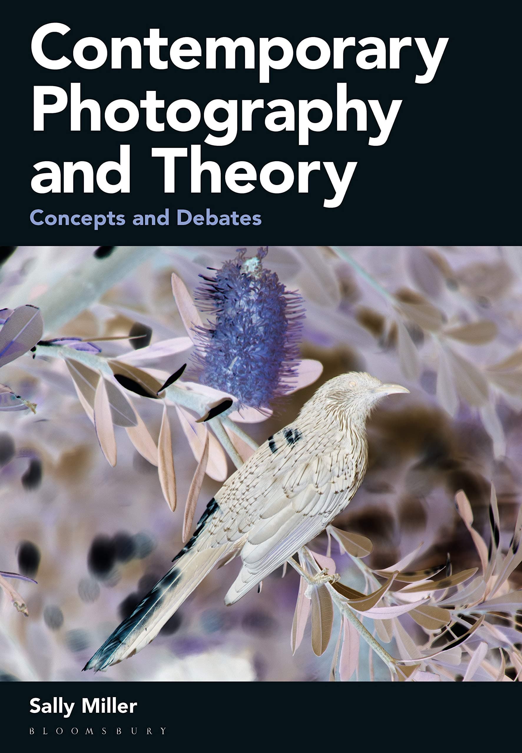 Contemporary Photography and Theory | Sally Miller