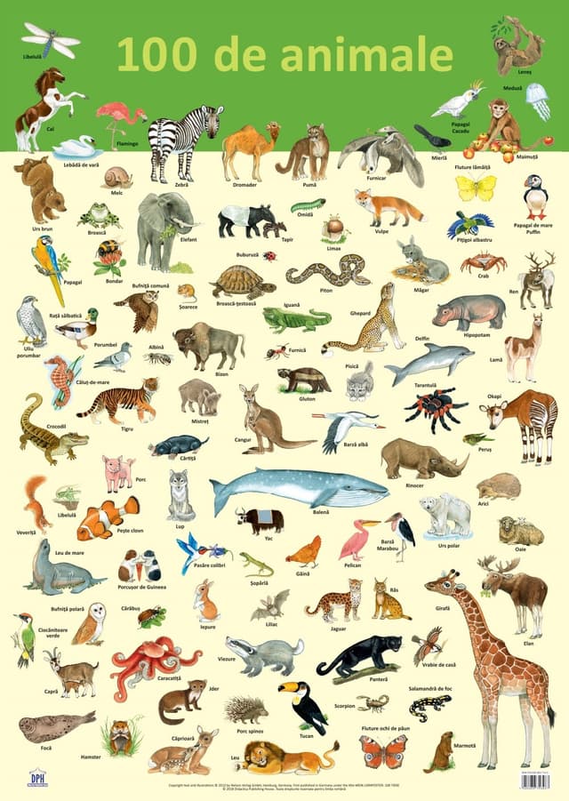 Plansa 100 de animale | Nelson Verlag