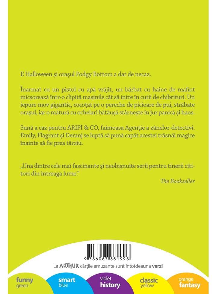 Misterul cutiilor de chibrituri | Sally Gardner