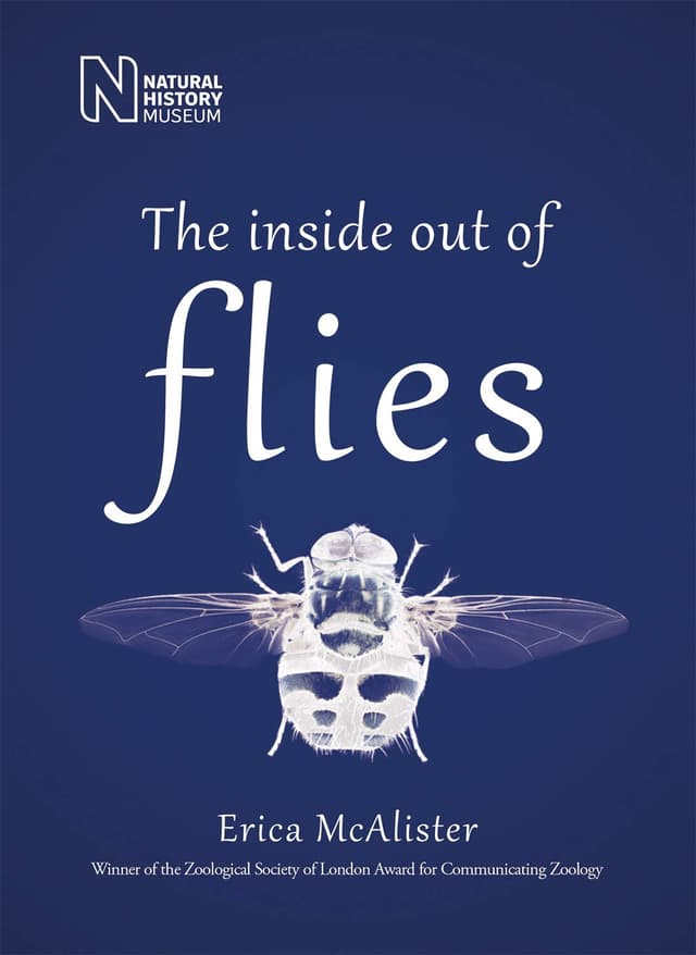 The Inside Out of Flies | Erica McAlister