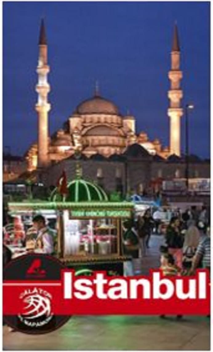 Istanbul | Florin Andreescu