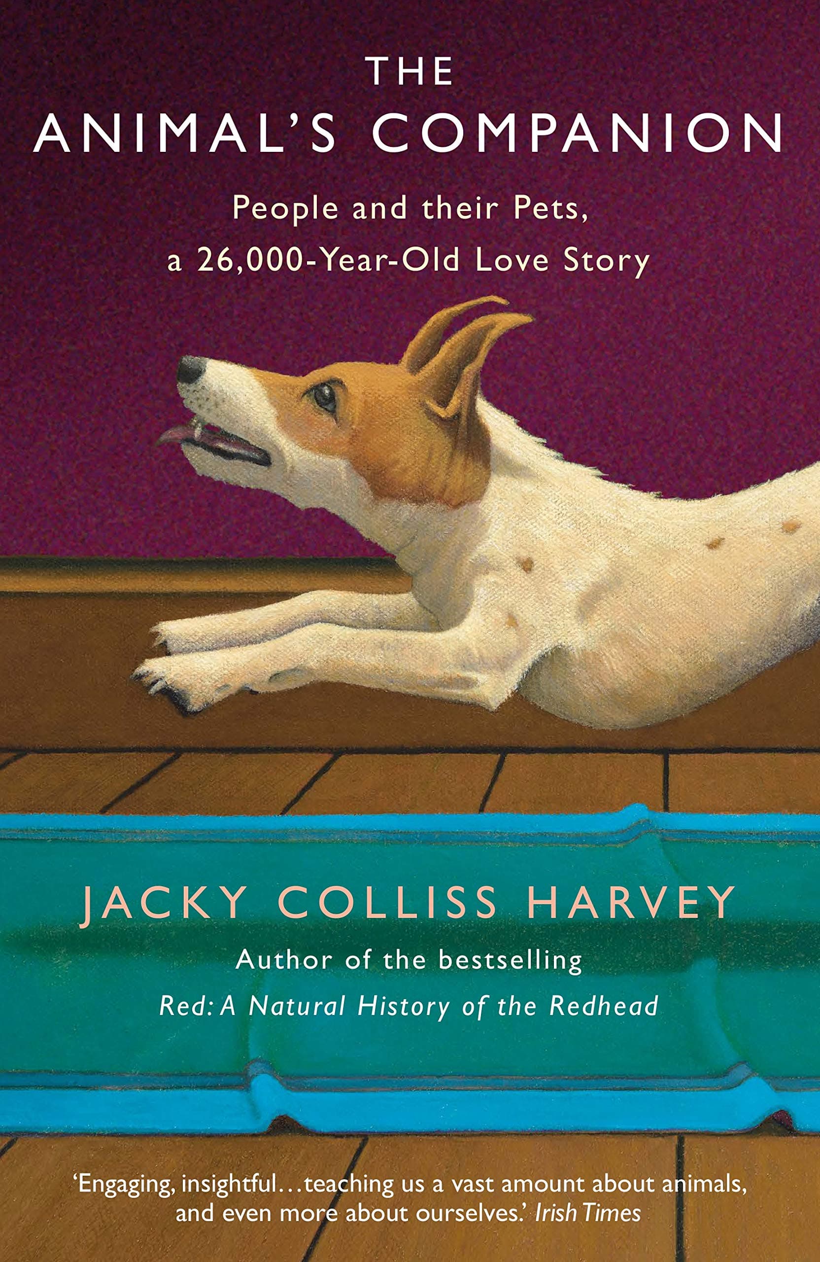 Animal's Companion | Jacky Colliss Harvey