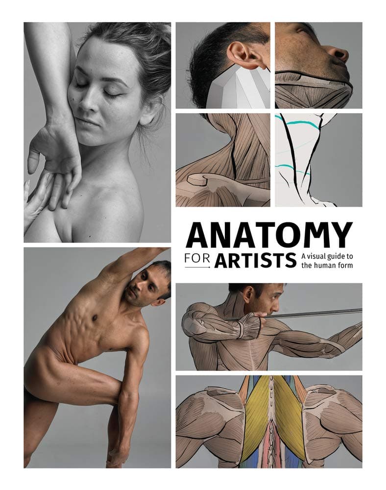 Anatomy for Artists |