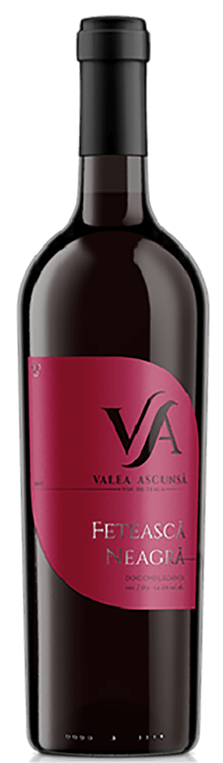 Vin rosu - Valea Ascunsa, Feteasca Neagra Barrique, sec, 2017 | Valea Ascunsa