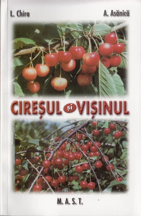 Ciresul si visinul | L. Chira, A. Asanica